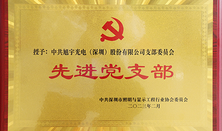 踐行初心，擔(dān)當(dāng)使命丨旭宇光電獲評“先進(jìn)黨支部”