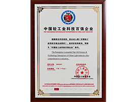 中國輕工業科技百強企業